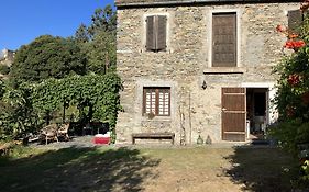 Maison de charme Corse sauvage
