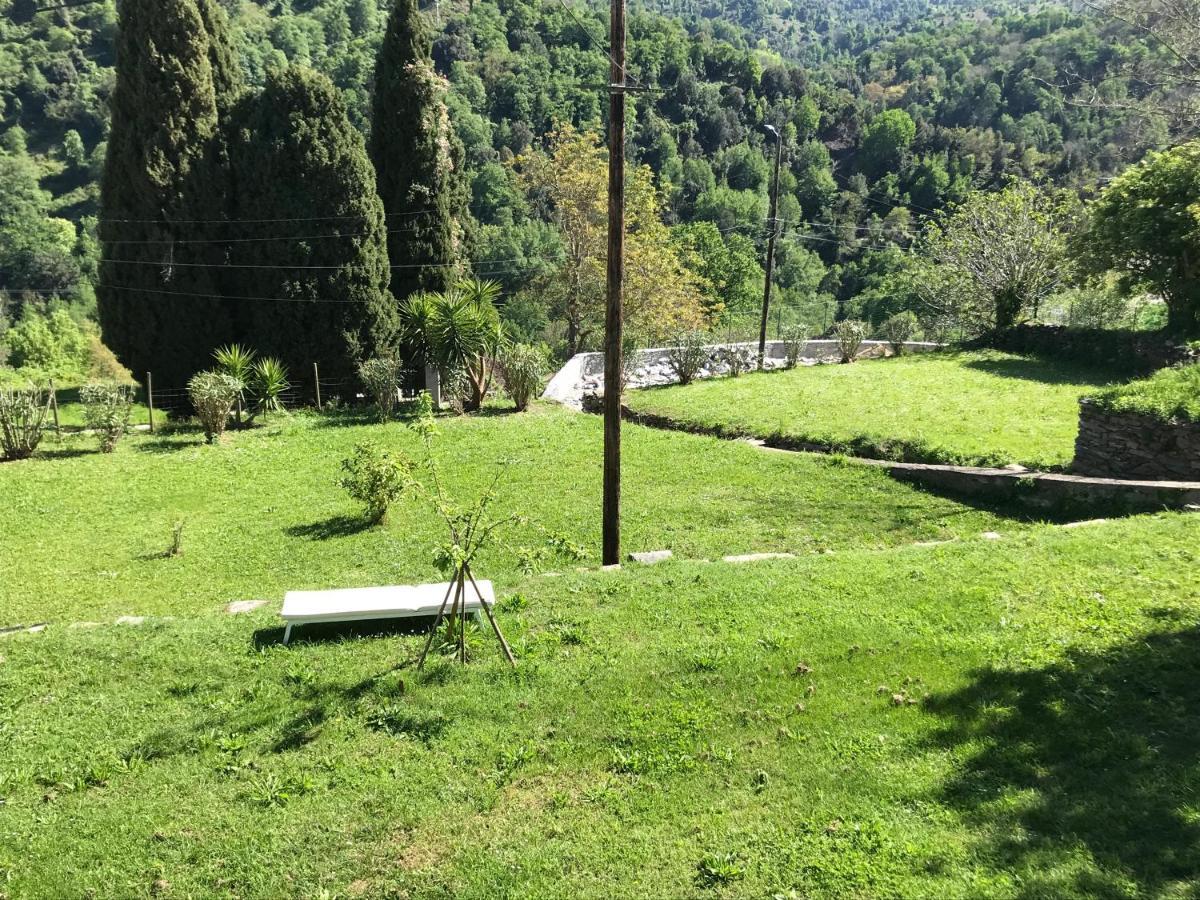 Maison de charme Corse sauvage Pietra-di-Verde Extérieur photo