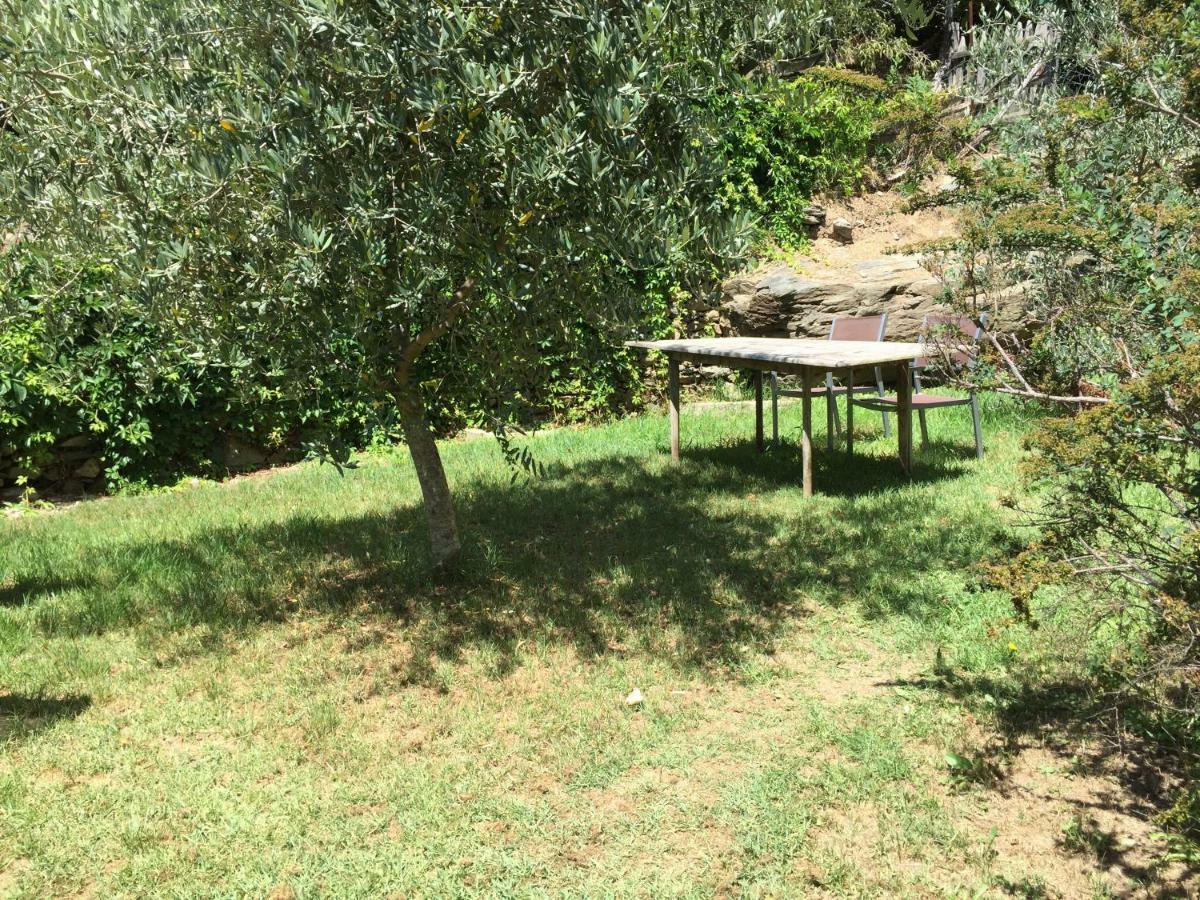Maison de charme Corse sauvage Pietra-di-Verde Extérieur photo