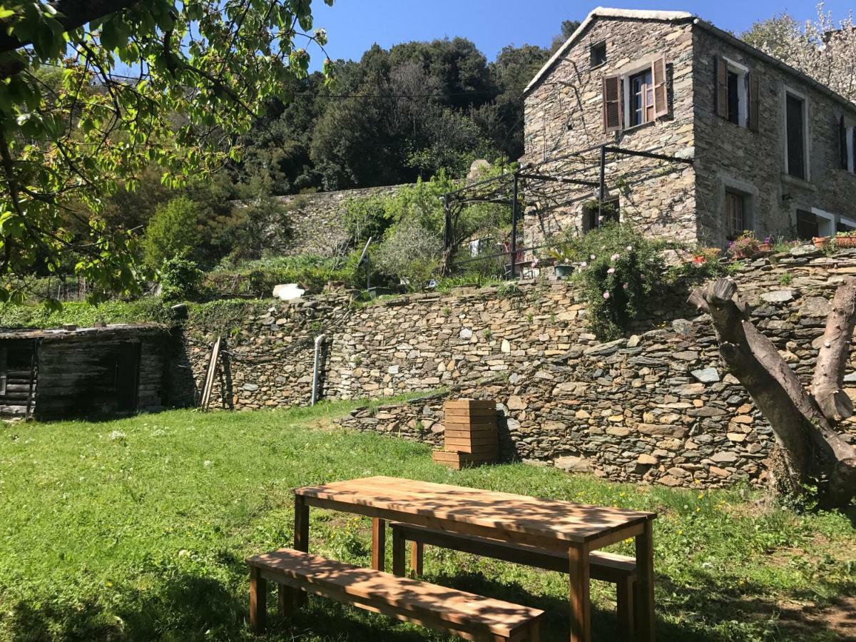 Maison de charme Corse sauvage Pietra-di-Verde Extérieur photo